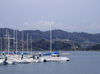 Hamana