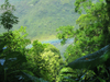 Manoa