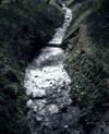 Ogawa