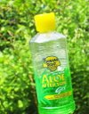 Aloe_2